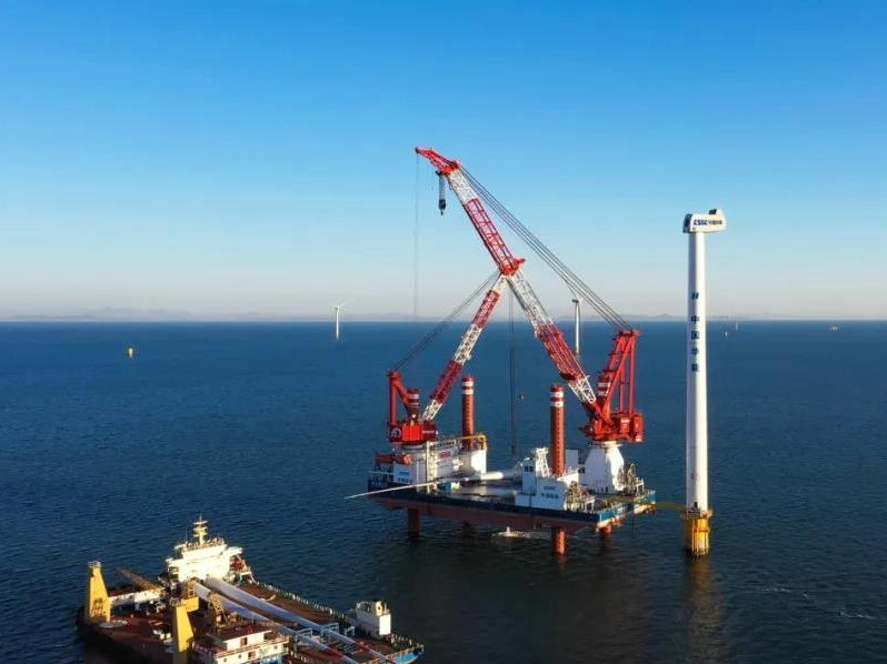 Marine Power Cables for Offshore Projects: ZD Cables Powers Asia, Middle East, And Europe’s Shipbuilding Nations in 2025